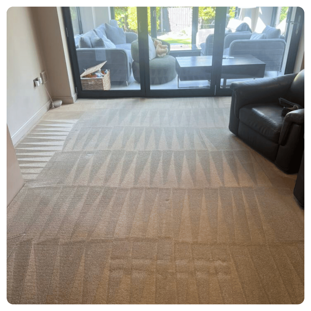 Bright living room with freshly cleaned carpet, with glass door to outdoor seating.