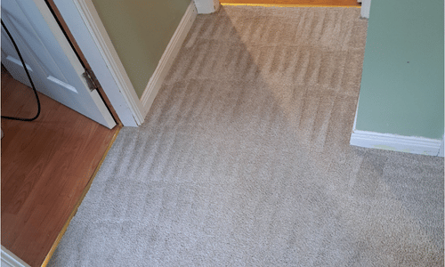 carpet cleaning in westerham