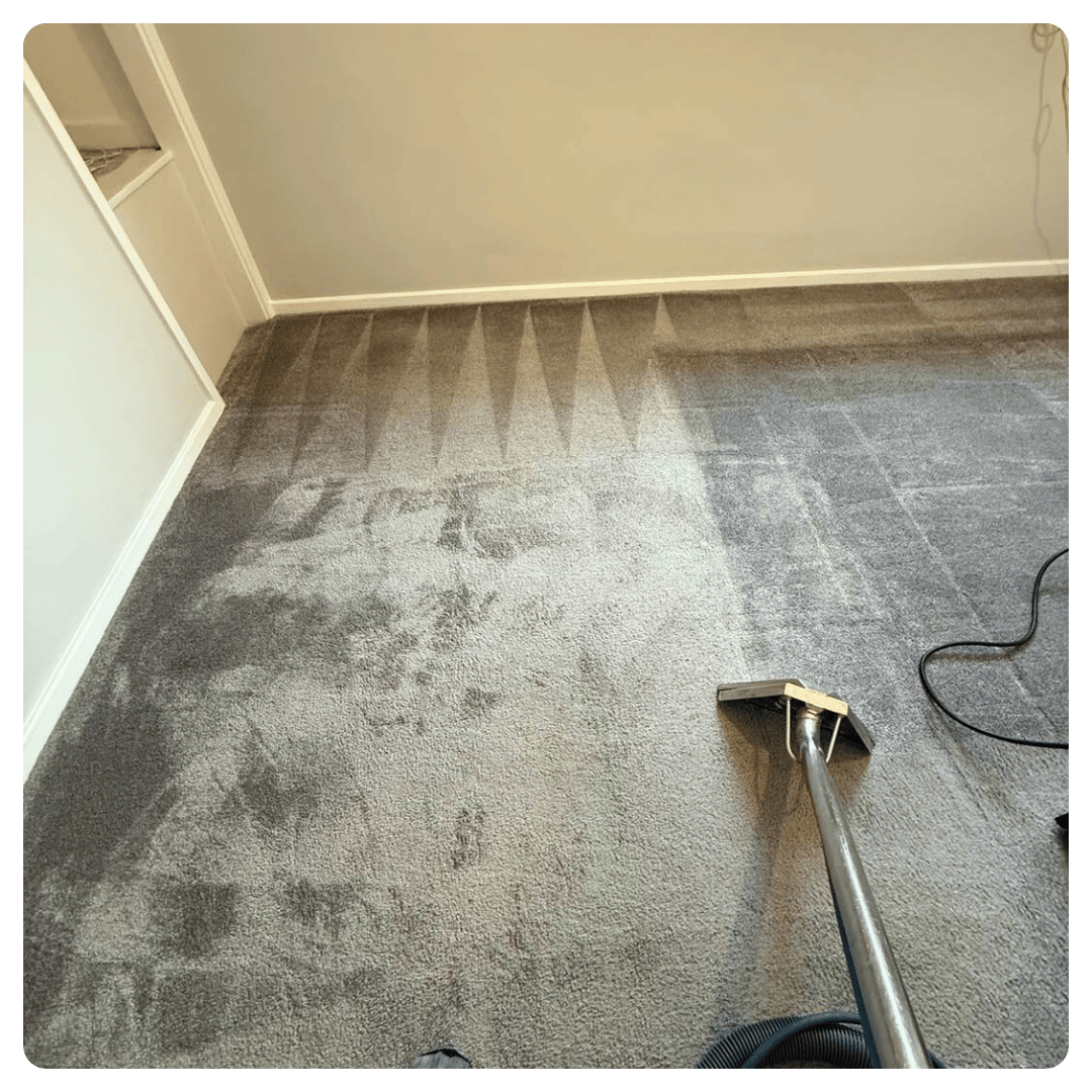 Ashby on carpet showing before-and-after; left dirty, right clean with patterns.