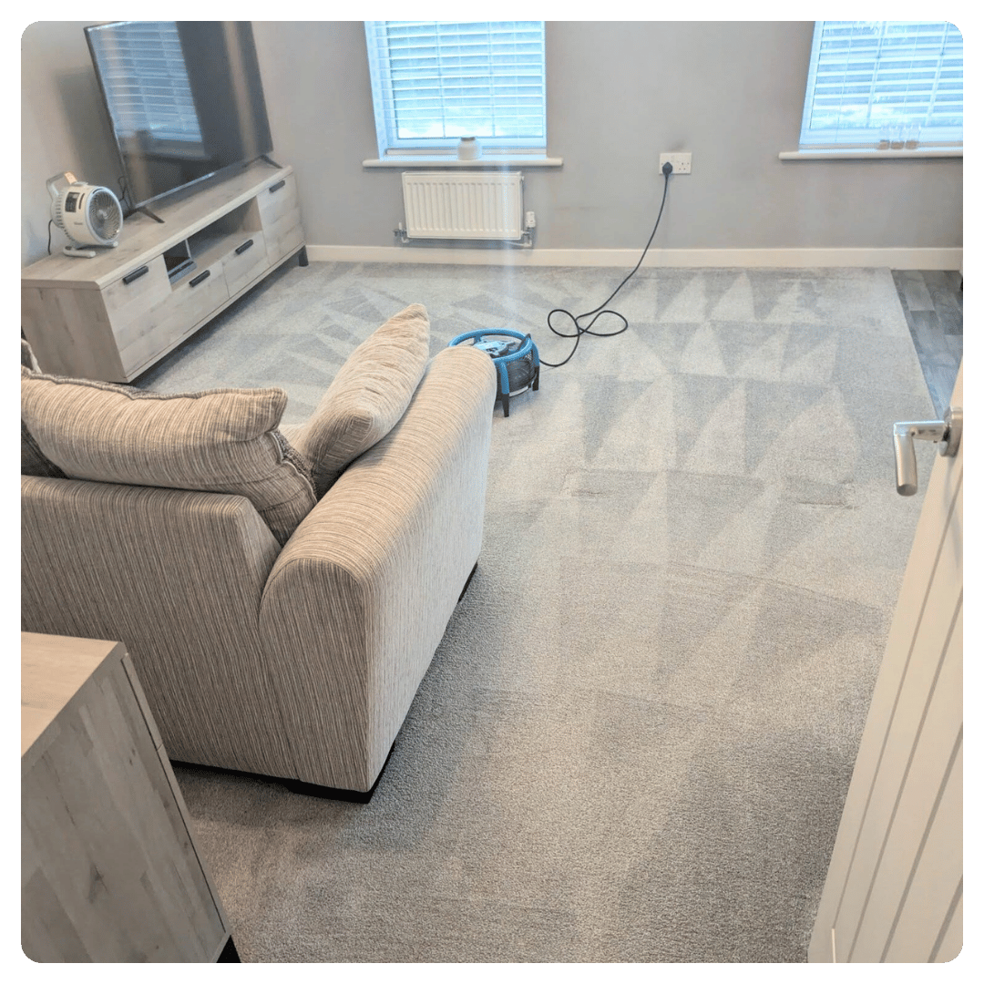 Tidy living room with light grey carpet, grey sofa, TV on wooden stand, and windows.
