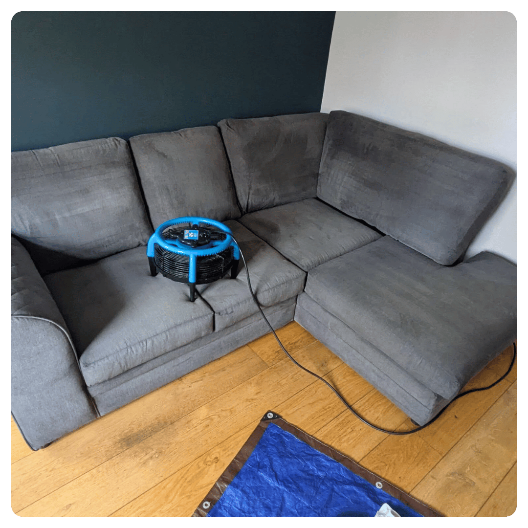 A dark gray L-shaped sofa with a blue circular fan.