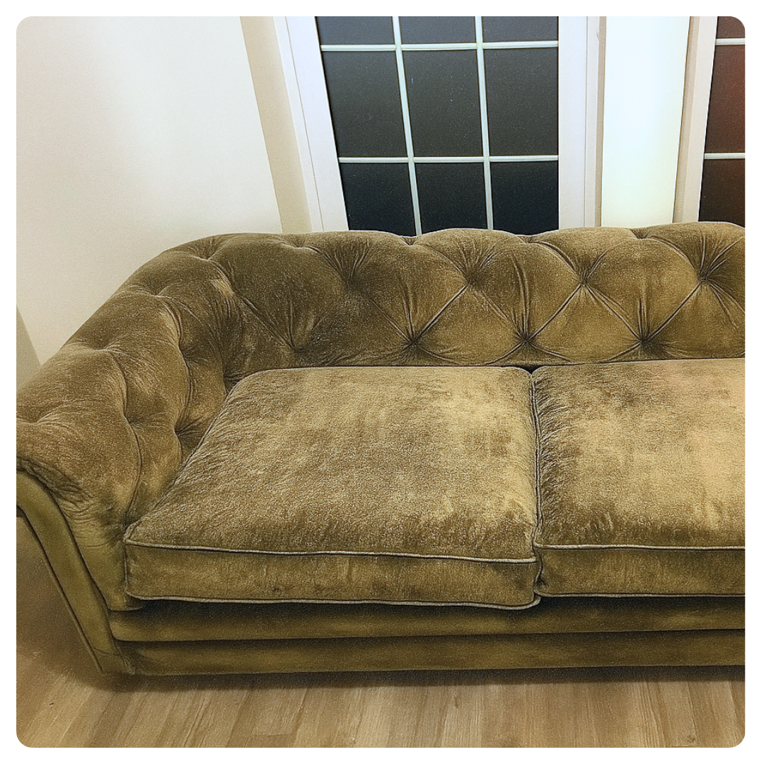 Olive-green velvet loveseat with tufted back and cushions in a light, wooden-floored room.