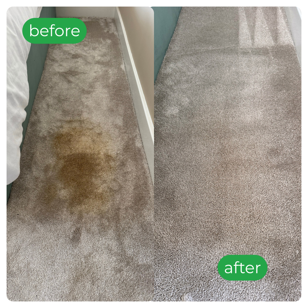 Before-and-after carpet; left dirty and stained, right clean and fresh.
