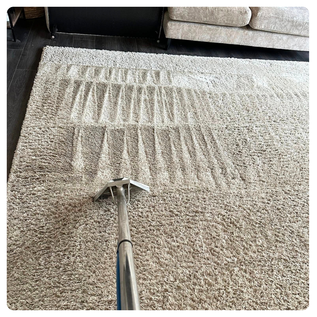 Carpet cleaning tool on beige carpet leaves striped clean path, sofa partly visible behind.