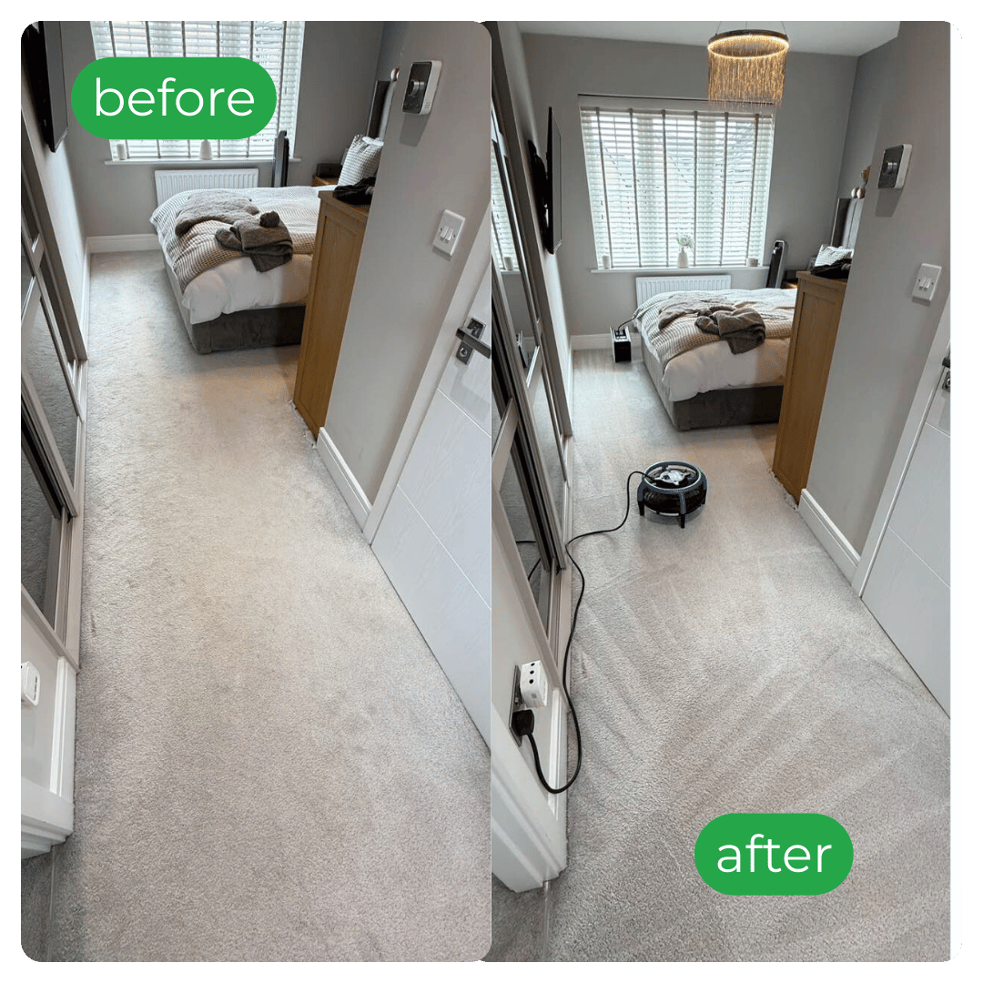 Before-and-after hallway carpet; left slightly dirty, right vacuumed with neat lines.
