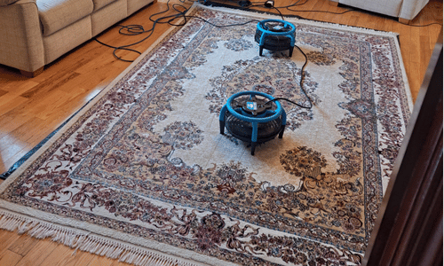 rug cleaning westerham