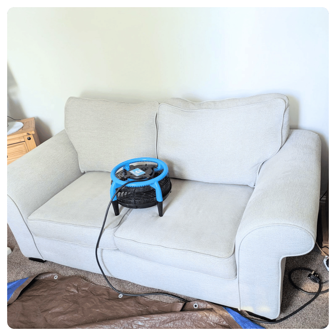 Grey sofa with cushions and blue fan.