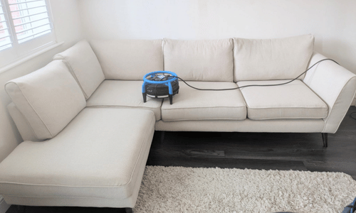 upholestry cleaning in herne bay