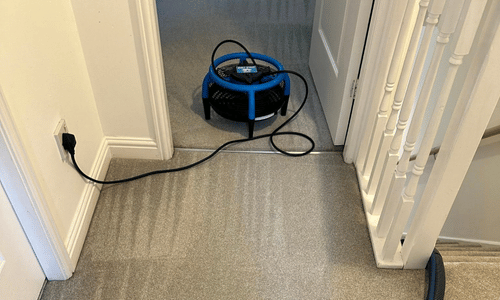 Carpet Cleaning TN5