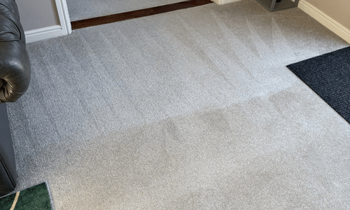 Carpet cleaning Guestling