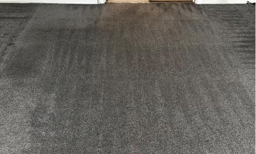 Carpet cleaning Hastings