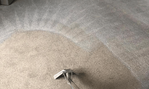 Carpet cleaning TN31