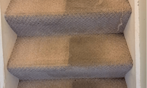 Stair carpet cleaning Mayfield