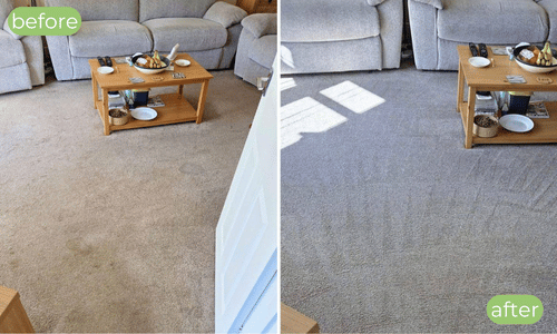 before and after carpet cleaning TN19