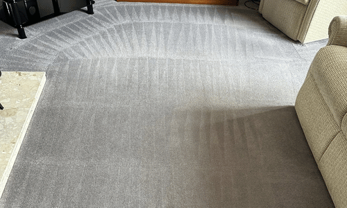 carpet cleaner hastings