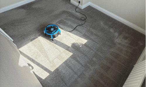 carpet cleaning in Burwash