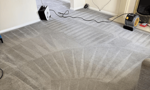 carpet cleaning in battle