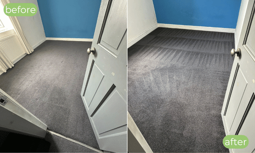 carpet cleaning in hastings