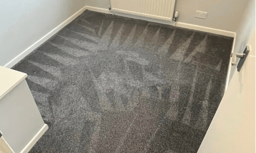 carpet cleaning living room in rye