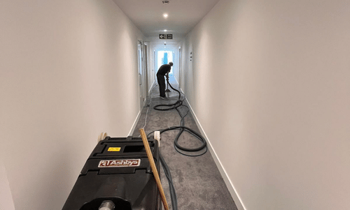 Carpet cleaning in Walton on Thames