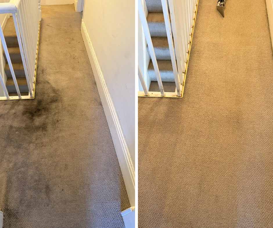 Two side-by-side images of a carpeted hallway show dramatic cleaning results. The left is stained and dirty, labeled "Before," and the right is spotless and clean, labeled "After."
