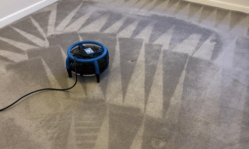 Carpet cleaner middlesbrough