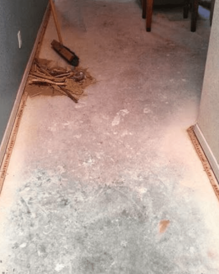 Dirty beige carpet, that looks grey due to dirt and grime build up