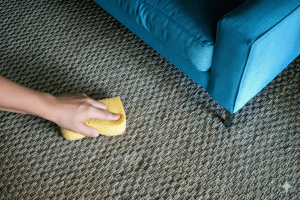 Wool carpet being dabbed with a yellow sponge